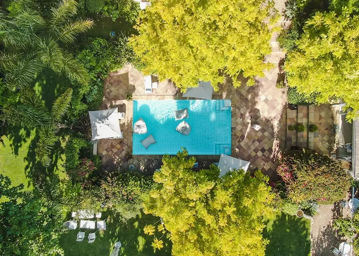 Last Word Constantia